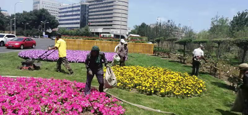 首页- 尊龙集团中国官方网站